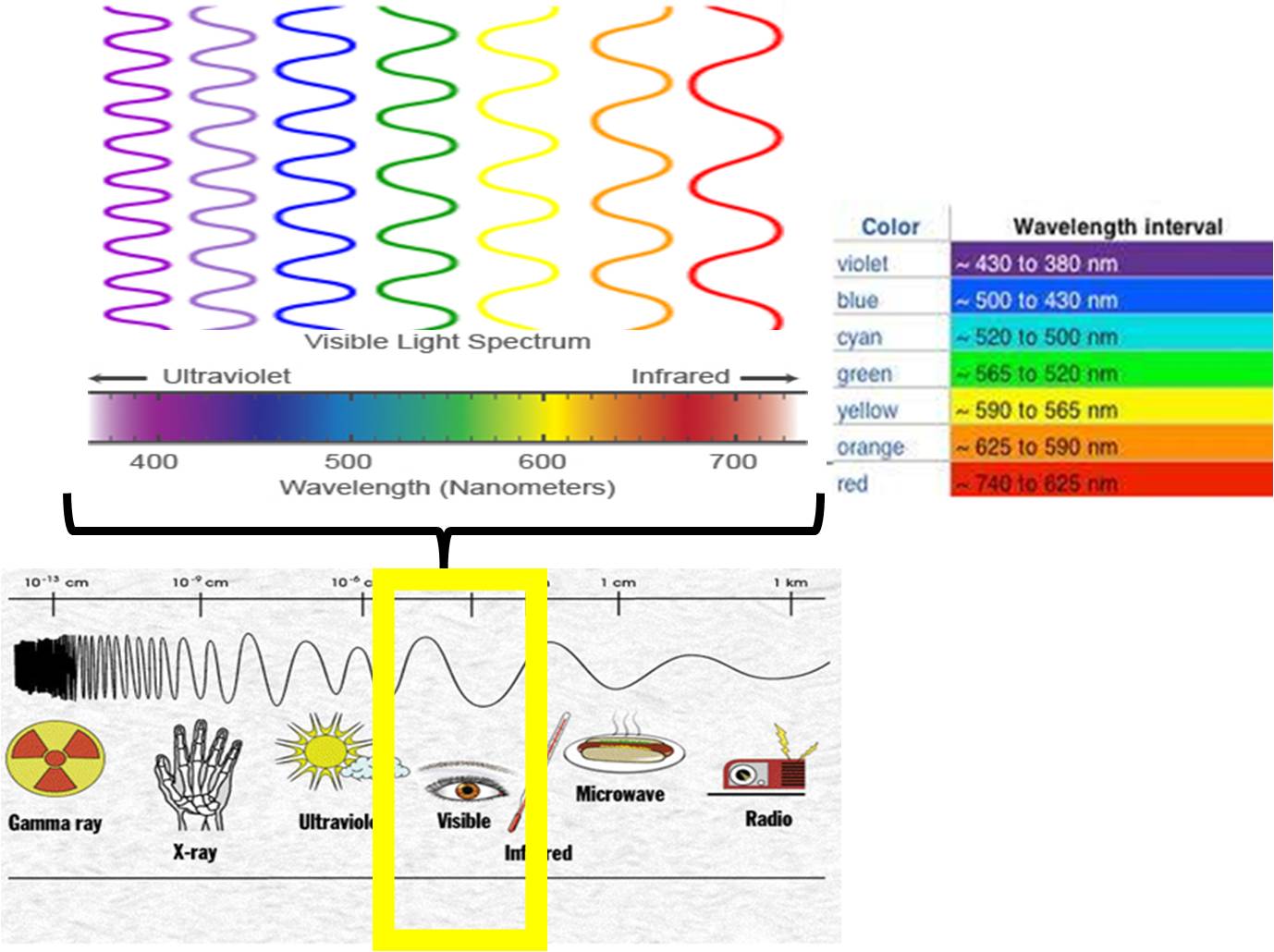 Visible Spectrum Color Chart